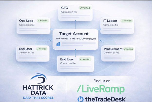 Sales leader reviewing account scoring and territory planning with audience data